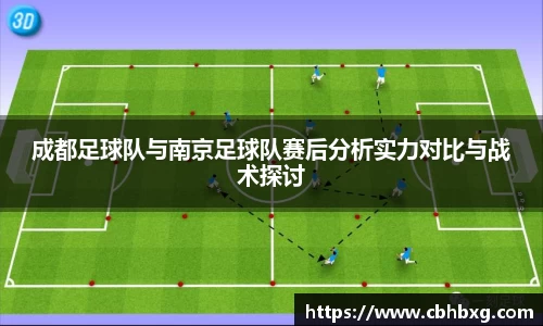 成都足球队与南京足球队赛后分析实力对比与战术探讨